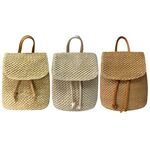 Woven Straw Women Shoulder Backpack Bag Female Holiday Schoolbag Handbags for Women Outdoor Shopping Travel