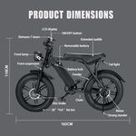 20inch Fat Ebike 48V 750W/1000W Hub motor Super Power Electric Ebike Retro Design 7 Speed Snow Beach ebike Men Electric Bicycle