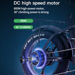 Powerful1000W 48V 15AH Electric Bike Women Convenience  Adult Bicycle Snow Mountain 20 Inch Folding Fat Tyre Ebike For Man Women