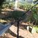 2pcs Hammock strap Outdoor Camping Hammock Garden Swing Straps Rope High Strength Tree Hanging Load-Bearing Strap Rope